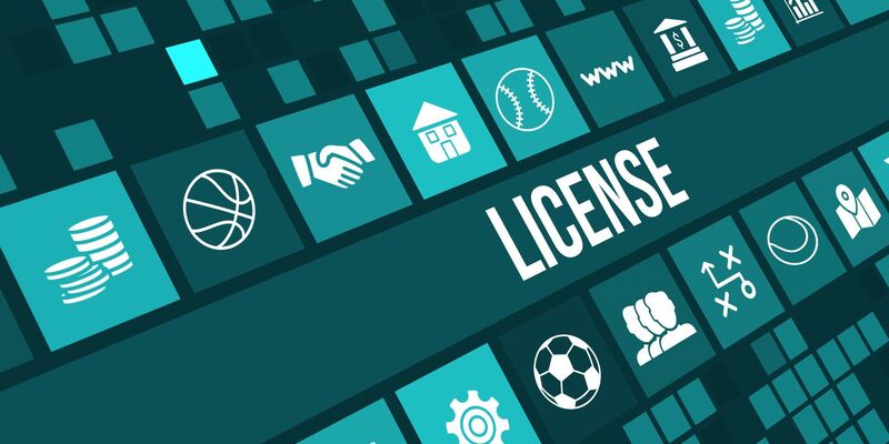 Categories of Betting License Types